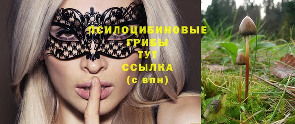 твердый Алексин