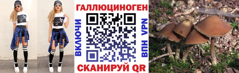 Галлюциногенные грибы Magic Shrooms  Рыбинск 